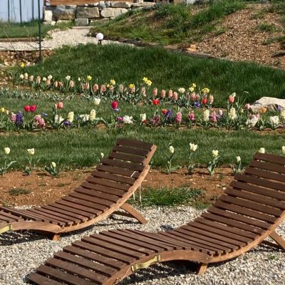 Copia di IMG-20230411-WA0003